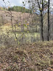 Земельный участок площадью 962 +/- 11 кв. м, категория земель: земли сельскохозяйственного назначения, разрешенное использование: для ведения садоводства, расположенный по адресу: Московская область, Каширский район, ТОО "Каширское", с кадастровым номером: 50:37:0010202:485. Цена: 108810,00 руб.