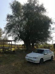 Lada Samara 211540 2011 LADA SAMARA, модель: 211540, год изготовления: 2011 г.в., г/н: М679НК30, VIN XTA211540В5055136