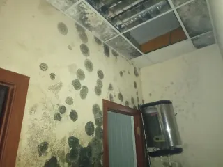 Районный дом культуры, 382,2 кв.м, земельный участок 1464 кв.м, Орловская область Районный дом культуры с земельным участком Районный дом культуры площадью 382,2 кв.м, назначение: нежилое, кадастровый номер 57:25:0010706:949, местоположение: Российская Федерация, Орловская область, г. Орёл, ул…