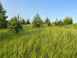 Земельный участок 645 кв.м Татарстан 1/5 в земельном участке в с.Ильбухтино с кадастровым номером 16:39:102501:1144, расположение: Республика Татарстан, Тукаевский муниципальный район, Малошильнинское с/п, с. Ильбухтино, категория земель: земли населенных пунктов, вид разрешенного использования…