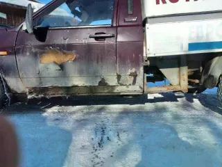 ВИС 2347-0000012-20 грузовой, 2005 года выпуска, VIN: X6D23470050001740, ПТС: 66ОН256302. Организатор торгов не проводит осмотр и не несет ответственность за техническое состояние транспортного средства. Участники торгов вправе самостоятельно запросить у продавца данные о скрытых повреждениях…