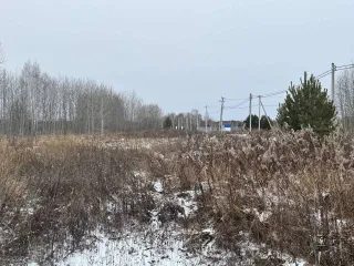 Земельный участок площадью 1306 кв.м в Тюменской области, Нижнетавдинский район, СНТ "Райские сады", улица Южная, участок №31. Кадастровый номер: 72:12:0804001:1780. Имущество находится в залоге у ПАО Сбербанк.
