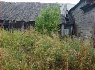 Дом 65,4 кв.м. и участок 2784 кв.м., Нижегородская обл. Жилой дом, площадь: 65,4кв.м., кадастровый номер: 52:11:0030010:219, земельный участок, площадь: 2 784кв.м., кадастровый номер: 52:11:0030010:49, Категория земель: Земли населенных пунктов, Вид разрешённого использования: Для ведения личного…