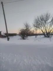 Земельный участок площадью 1498 кв.м по адресу: Алтайский край, Первомайский район, с. Первомайское, ул. Пролетарская, 37. Кадастровый номер: 22:33:020502:25. Вид разрешённого использования: 2.2. Регистрационный номер ЕГРОКН: