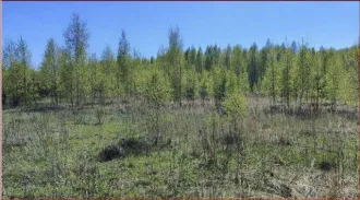 Земельный участок, 800 кв.м, Московская область, городской округ Раменский, д. Булгаково, кадастровый номер: 50:23:0050553:1191