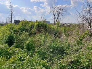 Конечно, пришлите текст объявления, и я его оптимизирую согласно вашим требованиям.