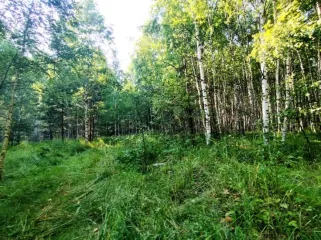 Земельный участок, 495300 кв.м, Нижегородская область, Сокольский район Имущество АО «КАПИТАЛ АСИСТАНС»: земельный участок, кадастровый номер 52:07:0800006:1592, 495300 кв.м. Земельный участок для индивидуального жилищного строительства, земли населенных пунктов, кадастровый номер…