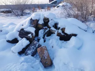 Древесина породы сосна в виде чурок длинной по 40 см., в количестве 80 шт., объемом 1,176 куб.м. Древесина породы сосна в виде чурок длинной по 40 см., в количестве 80 шт., объемом 1,176 куб.м. 
Количество и породный состав древесины: Древесина породы сосна в виде чурок длинной по 40 см., в…