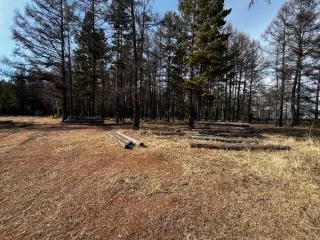 Строительные бревна сосна 5,178 м³ бревна строительные и подтоварник сосновые: сортимент породы сосна 4м, 31 шт, 4,998 пл.куб.м., сортимент породы сосна 6м, 1 шт, 0,18 пл.куб.м (перечень в документации) Имущество продается в том виде, в каком оно есть, в случае продажи возврату/обмену не подлежит…