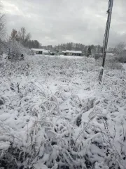 Земельный участок площадью 1500 кв.м с кадастровым номером 54:19:110501:209, расположенный по адресу: Новосибирская область, Новосибирский район, МО Станционный сельсовет, поселок Ленинский, улица Центральная, дом 45. Объект находится в залоге у ПАО Сбербанк.