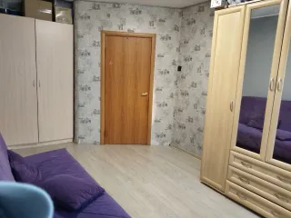 Жилое помещение, 34 кв.м, Санкт-Петербург, кадастровый номер 78:13:0007446:1624