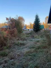 Земельный участок, категория земель Для ведения садоводства, кадастровый (условный) номер 22:04:550101:444, Площадь участка 700,0
Место нахождения: Россия, край Алтайский, р-н Бийский, снт Катунь, ул Веселая, дом 28