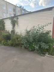 Здание 19,6 кв.м, Болховский район, Орловская область. Нежилое здание, площадь: 19,6 кв.м., адрес (местонахождение): Орловская область, р-н. Болховский, г. Болхов, пер. Войковский, д. 2, корп. 1, кадастровый номер: 57:01:0010419:76