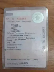 Hyundai Solaris, 2013 года, 123 лс, 229000 км, АКПП, VIN: Z94CT41DBDR202574, гос.номер О217АР134