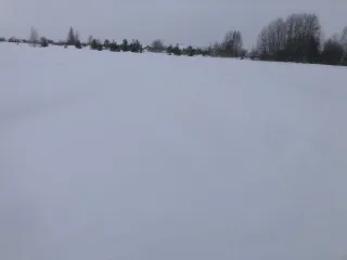 1/2 доля земельного участка, площадью 700 кв.м., назначение: Земли населенных пунктов, адрес (местонахождение): Чувашская Республика - Чувашия, р-н Чебоксарский, с/пос. Сарабакасинское, д. Сарабакасы, кадастровый (условный) номер: 21:21:220703:8. Обращаю внимание, что границы земельного участка не…