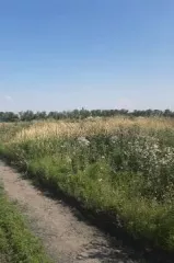 Продажа земельного участка с кадастровым номером 61:02:0600010:1948, площадью 834 кв. м. Адрес: Ростовская область, р-н Аксайский, СНТ Солнечная поляна, в 1,42 км на северо-запад от х. Большой Лог