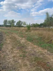 Земельные участки, 3000 кв.м, lph, Рязанская область, Михайловский район. Земельный участок в Рязанской обл., 3000+/-38,34 кв.м. Место нахождения: Россия, обл Рязанская, р-н Михайловский, с.п. Трепольское, д. Степановка. Площадь (кв. м) 3000 +/- 38,34. Виды разрешенного использования объекта…