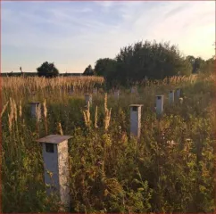 Земельный участок, общей площадью 800 кв.м., кадастровый номер: 50:36:0020216:16, расположенный по адресу: Российская Федерация, Московская область, г.о. Озеры, д. Якшино