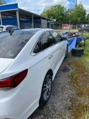 Hyundai Sonata, 2018 года, 187 лс, 118033 км, АКПП, VIN: XWEE341FBK0000597, гос. рег. знак: Н160АУ550, цвет: белый