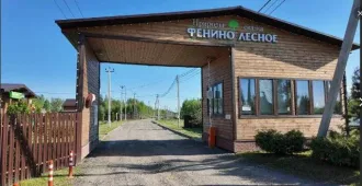 Земельный участок 709 кв.м., Московская область, г. Раменское, д. Фенино, кадастровый номер: 50:23:0020391:876