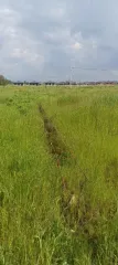 Земельный участок, 666 +/- 9 кв.м, Республика Адыгея (Адыгея), г Майкоп, п Западный, категория: земли населенных пунктов; разрешенное использование: для индивидуального жилищного строительства; кадастровый (условный) номер: 01:08:1109008:2087