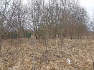 Продажа земельного участка с адресным ориентиром: город Москва, внутригородская территория поселение Роговское, деревня Лопатино, земельный участок 7А общей площадью 1 100 кв. м с кадастровым номером 77:22:0040114:364 Продажа земельного участка с адресным ориентиром: город Москва, внутригородская…