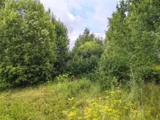 Земельный участок 1200 кв.м, Москва, Филимонковский, д. Рожново, з/у 1А, кадастровый номер: 77:18:0190915:433. Общая площадь 1200 кв.м. Кадастровый номер: 77:18:0190915:433. Основной вид разрешенного использования: 1.5. Площадь: 1200.