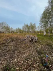 Земельный участок 1000 кв.м, Хабаровский край, расположенный по адресу: Хабаровский край, р-н Хабаровский, категория земель - земли сельскохозяйственного назначения, вид разрешенного использования - для ведения дачного хозяйства и организации застройки дачного некоммерческого товарищества, площадь…