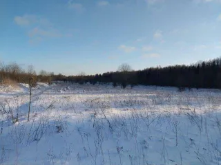 Земельный участок, 370086 +/- 213 кв.м, кадастровый 18:08:006001:1001, Удмуртская Республика, Завьяловский район.