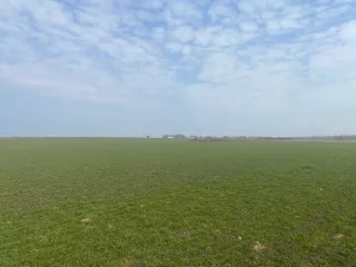 Земельный участок - 100 000 +/- 2 767 кв. м, кадастровый номер 33:05:024102:469, земли сельскохозяйственного назначения - для сельскохозяйственного производства, 
Ограничения и обременения: постановление Губернатора Владимирской области от 12.04.2010 № 433 «Об утверждении границ зон охраны…