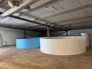 Строительство фермы по выращиванию форели по адресу д. Мещеряково Промпарк «Буинск» Буинского муниципального района, кадастровый номер 16:14:140102:762, общая площадь 1 432,0 кв.м. (в залоге АО «Татагролизинг»); Административное здание, кадастровый номер 16:14:140102:763, общая площадь 57,4 кв.м…