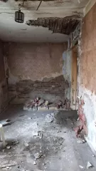 Жилое помещение: комната на 1 этаже по адресу: Россия, Краснодарский край, г. Краснодар, Насыпной переулок, д. 4, пом. 1,3,4,5,6, кадастровый номер: 23:43:0305045:493, площадь 40,9 кв.м. Лот №1 Лот №1 Лот №1 Жилое помещение: комната на 1 этаже по адресу: Россия, Краснодарский край, г. Краснодар…
