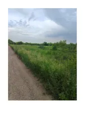 Земельный участок 2300 кв.м РТ В аренду на 4 года 10 мес. земельный участок, относящийся к землям населенных пунктов, кадастровый номер 16:45:050104:6411, площадью 2300 кв.м, вид разрешенного использования – ремонт автомобилей, расположенный по адресу: РТ, Альметьевский муниципальный район…