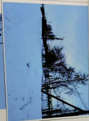 Нежилое здание общей площадью 401,1 кв.м, кадастровый номер 02:71:020104:124, и нежилое здание общей площадью 365,4 кв.м, кадастровый номер 02:71:020104:125, вместе с земельным участком площадью 8964 кв.м, кадастровый номер 02:71:020204:86. Адрес: РФ, РБ, г. Давлеканово, ул. Российская, 5/1. …