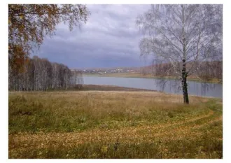 Земельный участок 750 кв.м, Удмуртская Республика, Завьяловский район, д. Сепыч Земельный участок в Удмуртии, 750+/-10 кв.м. еще Земельный участок в Удмуртии, 750+/-10 кв.м. еще Земельный участок, площадь 750 +/- 10 кв.м., адрес (местонахождение): Удмуртская Республика, Завьяловский район, д…