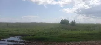Право долгосрочной аренды земельного участка общей площадью 1 100 485 кв.м, кадастровый номер 02:47:000000:1823, адрес: Местоположение установлено относительно ориентира, расположенного в границах участка. Почтовый адрес ориентира: Республика Башкортостан, р-н. Уфимский, с/с. Николаевский, д…