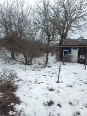 Индивидуальный жилой дом площадью 56,4 кв. м, кадастровый номер 36:08:2500007:46, земельный участок площадью 3000 кв. м, кадастровый номер 36:08:2500007:15, местонахождение: Воронежская обл., Воробьевский р-н, с. Новотолучеево, ул. Нижняя, д. 8. Общая площадь: 56.4. Количество подземных этажей: 0…
