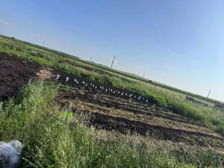 1/7 доли домов и земельных участков, Башкортостан, Куюргазинский район 1/7 доля дома и 1/7 доля земельного участка в Башкортостане еще 1/7 доля дома и 1/7 доля земельного участка в Башкортостане еще 1/7 доля в праве на жилое здание, площадь: 118,5кв.м., кадастровый номер: 02:35:110601:395 и 1/7…