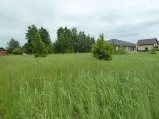 Земельный участок, кадастровый номер 53:11:0300105:3796, адрес: Новгородская обл., Новгородский муниципальный р-н, Савинское с/п, пос. Волховец