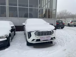 Легковой автомобиль, марка: HAVAL JOLION, год изготовления: 2023 г.в., VIN: XZGEE04A2PA843097