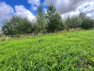 Право на заключение договора купли-продажи земельного участка Земельный участок с кадастровым номером 12:05:3101001:1589, категория земель - земли населенных пунктов, разрешенное использование – ведение садоводства, площадью 600 кв. м, расположенный по адресу: Республика Марий Эл, г. Йошкар-Ола, д…