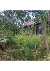 Дом 53,5 кв.м и земельный участок 289 кв.м в Оренбургской обл. жилой дом, дача, площадь: 53,5кв.м., кадастровый номер: 56:37:0101036:63, земельный участок , площадь: 289кв.м., кадастровый номер: 56:37:0101036:66