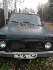 Легковой автомобиль ВАЗ 21213, 1999 года выпуска, VIN ХТА212130У1456916, госномер В315ЕК142. Автомобиль не на ходу, не работает после пожара. Выгорели проводка, шланги, бочки, генератор, стартер, аккумулятор. Кузов сгнил: крылья, пороги, днище, задняя дверь. Коробка и раздатка почти вывалились…