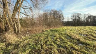 Земельный участок 1059 кв.м, Московская область. Кадастровый номер 50:33:0010509:618. Вид разрешённого использования 2.1.