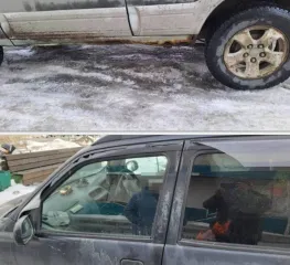 Daihatsu Terios (дайхатсу Териос), 1997 года, 92 лс, полный привод, АКПП. Автомобиль легковой, марка: DAIHATSU, модель: TERIOS, VIN отсутствует, гос. рег. номер: С739ВХ27, год изготовления: 1997.