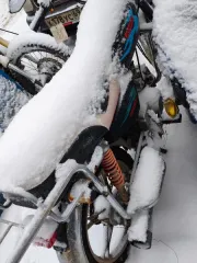 Alfa, Motoland XV 250-B, Tornado, Lesnik, VENTO RIVA-II RX. Мопед Альфа, без государственного регистрационного знака, номер рамы LX8XCB2A411013223. Мотоцикл Motoland XV 250-B, без государственного регистрационного знака, VIN LWJPCNL2PC044776. Скутер Торнадо, VIN LYXSG00A9B0059585, цвет синий, объем…