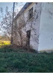 Здание 321,9 кв.м в Новосибирской области, Краснозерский район, село Веселовское, улица Ленина, дом 12. Кадастровый номер 54:13:022610:107.