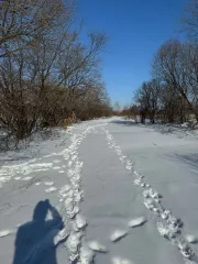 Земельный участок, площадь 1004+/11 кв.м., кадастровый (условный) номер: 27:17:0300701:882
Адрес (местонахождение): Россия, край Хабаровский, р-н Хабаровский, с Галкино, кв-л Дружный, дом 25