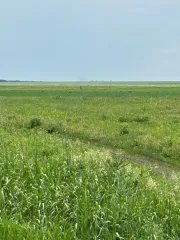 Земельные участки (136 шт.) 361 187 кв. м, Самарская область, Красноярский район, земельные участки (136 шт.) общей площадью 361 187 кв. м в границах ZAO «Kamenskoye» Красноярского района Самарской области, назначение: данные отсутствуют, виды разрешенного использования: для комплексного освоения в…