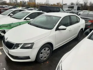 Skoda Octavia 2019 г.в. г/н: Х950СК799 VIN: XW8AN2NE1LH014876